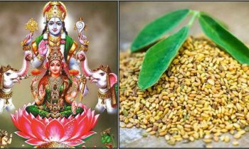 வீட்டில் வற்றாத செல்வம் நிறைந்திருக்க வேண்டுமா? அப்படியானால் வெந்திய குளியல் முறை பற்றி அவசியம் தெரிந்து கொள்ளுங்கள்.