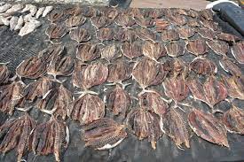 கருவாட்டு வகைகளின் விலை சடுதியாக குறைவடைந்துள்ளது.