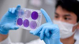 கொவிட் தொற்று தொடர்பில் வெளியான தகவல்.