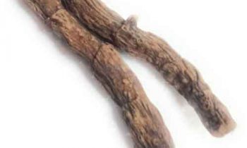 வசிய பொருத்தமே இல்லாமல் திருமண வாழ்க்கை கசந்து போய் விட்டதா?