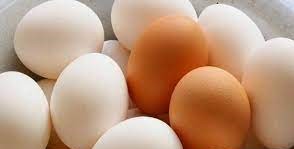 மீண்டும் முட்டைக்கு தட்டுப்பாடு.